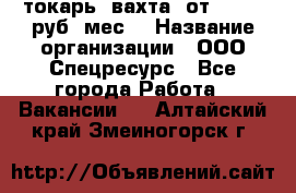 токарь. вахта. от 50 000 руб./мес. › Название организации ­ ООО Спецресурс - Все города Работа » Вакансии   . Алтайский край,Змеиногорск г.